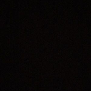 Meet your Posher, Clara